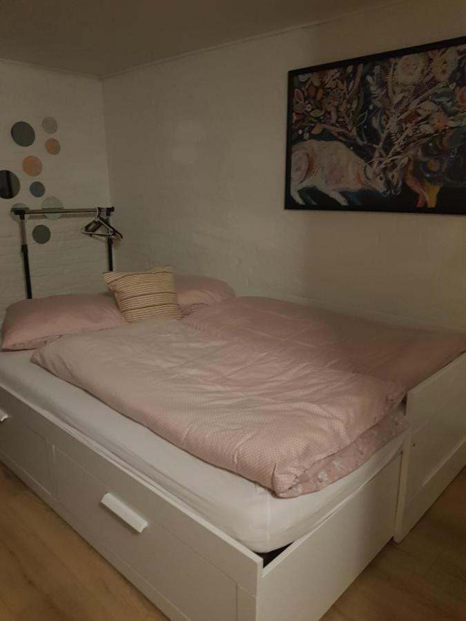 Trandafir Guesthouse Egtved Εξωτερικό φωτογραφία