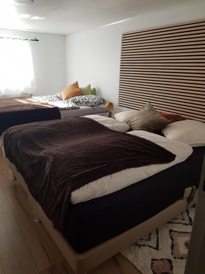 Trandafir Guesthouse Egtved Εξωτερικό φωτογραφία